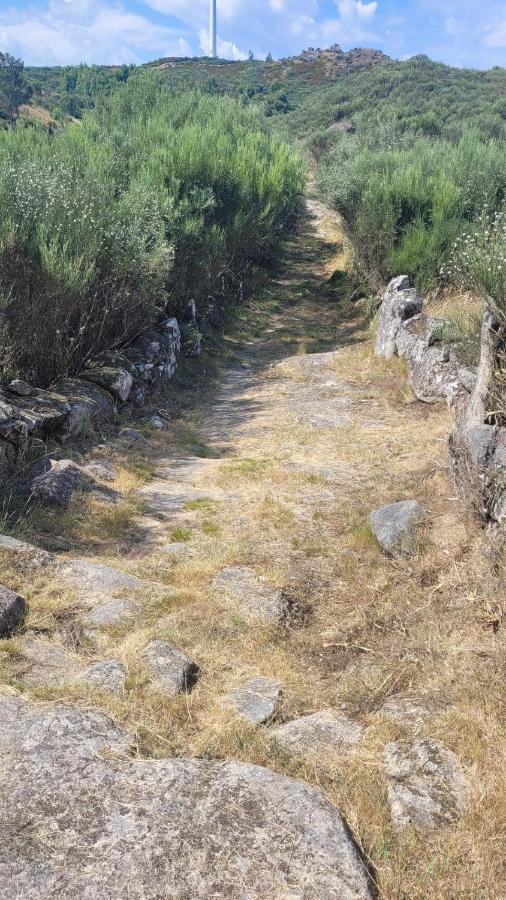 Arca Casinhas Da Eira Caramulo Turismo Rural מראה חיצוני תמונה