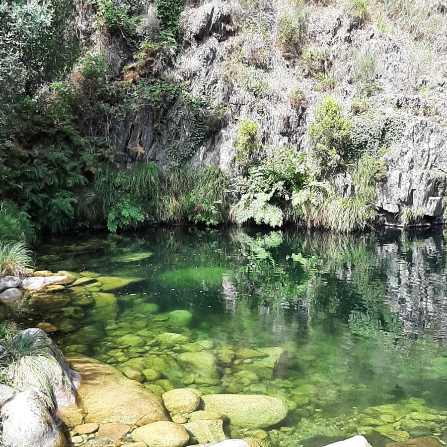 Arca Casinhas Da Eira Caramulo Turismo Rural מראה חיצוני תמונה